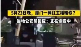 厦门主播爆料事件视频大全,视频大全揭秘幕后真相